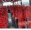 Autobus Temsa OPALIN HN45S9