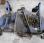 Tondeuse Iseki SF200