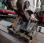 Mini-pelle Takeuchi TB 175