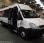 Autobus Iveco Daily