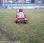 Tondeuse Kubota gr2100