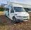 Autobus Iveco Daily