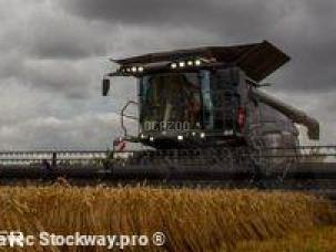 Moissonneuse-batteuse Massey Ferguson IDEAL 8PL