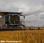 Moissonneuse-batteuse Massey Ferguson IDEAL 8PL