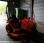 Tondeuse Kubota BX 2350