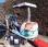 Pelle  nc