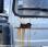Porte-voitures Renault S100