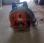 Autre Stihl             BR 500