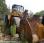 Chargeuse  Volvo L 150 E