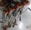 Autre Stihl             FS410