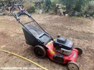 Tondeuse MTD             53 SPKHW