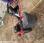 Tondeuse MTD             53 SPKHW