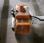 Autre Stihl             FS 550
