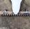 Tondeuse Eurosystems             M210