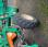 Tracteur agricole nc R3163