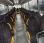 Autobus Mercedes Intouro