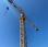 Grue à tour Potain 646H/DM