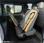 Autobus Renault Trafic