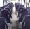Autobus Mercedes Intouro