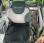  Merlo P32 6-TOP