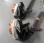 Autre Stihl             BR430, BR700