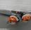 Autre Stihl             BR430, BR700