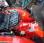 Tracteur agricole Goldoni Aster 35
