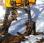 Tracteur agricole Holder             520