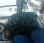 Tracteur agricole Ford 8360-4RM