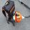 Autre Stihl             FR460 TC M-Tronic
