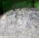  Merlo P26.6SP