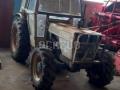 Tracteur agricole Lamborghini 603
