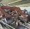 Tracteur agricole Case international