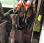 Tracteur agricole Renault Tracteur ergos 110-CF 056
