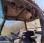 Tracteur agricole Renault Ergos 100