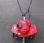 Autre Honda             F 220 GE
