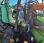 Tracteur agricole Deutz 4.80