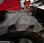 Tracteur agricole Massey Ferguson 6455