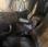 Pour semi-remorque Renault Premium