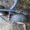 Andaineur Vicon ANDEX 463