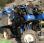 Machine à vendanger New Holland VL6050 - 656/1