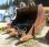 Pelle  Liebherr R974
