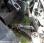 Tracteur agricole nc Ergos 446