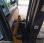  Yale GLP25VX V2420