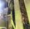Autre Claas             QUADRANT 2200