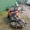 Tondeuse nc P524