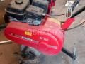 Autre Benassi             BL 350