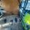 Fourgon avec parois et toit rigide Renault Kangoo