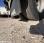 Pour semi-remorque Scania R