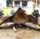 Curage rotatif nc            